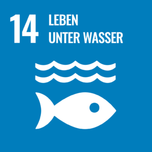 EVH Nachhaltigkeitsbericht – UN-Ziel für Nachhaltige Entwicklung (SDG): 15 Leben unter Wasser