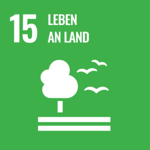 EVH Nachhaltigkeitsbericht – UN-Ziel für Nachhaltige Entwicklung (SDG): 15 Leben an Land