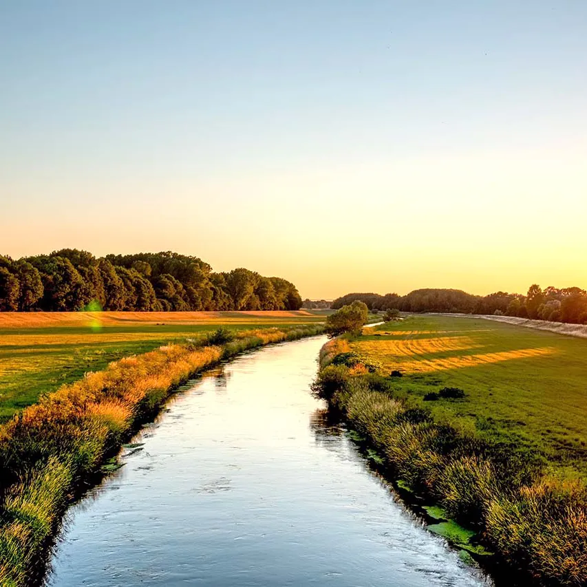 Abendsonne an der Weißen Elster